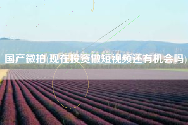 国产微拍(现在投资做短视频还有机会吗)