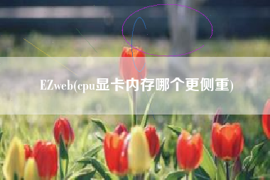 EZweb(cpu显卡内存哪个更侧重)