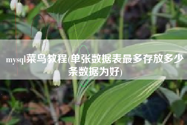 mysql菜鸟教程(单张数据表最多存放多少条数据为好)