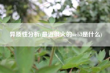 异质性分析(最近很火的web3是什么)