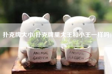 扑克牌大小(扑克牌里大王和小王一样吗)