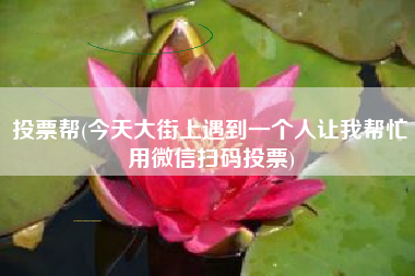 投票帮(今天大街上遇到一个人让我帮忙用微信扫码投票)