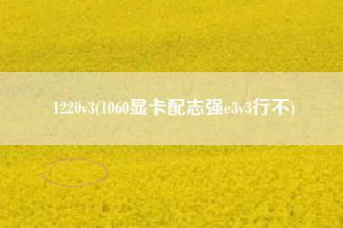 1220v3(1060显卡配志强e3v3行不)