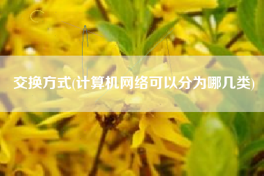 交换方式(计算机网络可以分为哪几类)