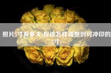 照片5寸有多大(应该怎样调整到可冲印的5寸)