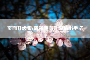 页面升级狼(增强萨满升级输出手法)