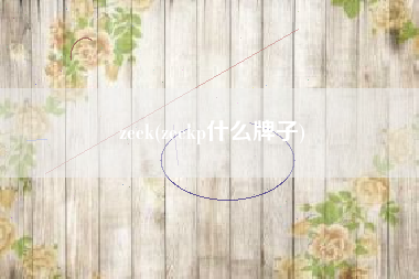 zeek(zeekp什么牌子)