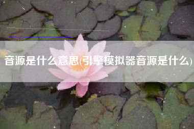 音源是什么意思(引擎模拟器音源是什么)