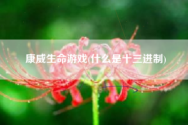 康威生命游戏(什么是十三进制)