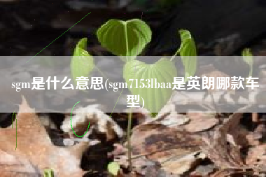 sgm是什么意思(sgm7153lbaa是英朗哪款车型)