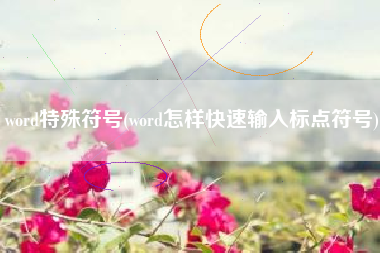 word特殊符号(word怎样快速输入标点符号)