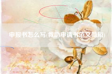 申报书怎么写(救助申请书范文简短)
