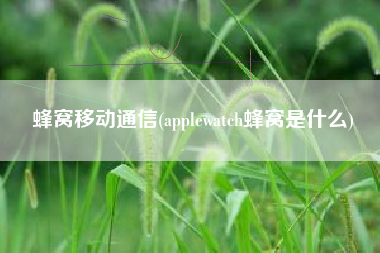蜂窝移动通信(applewatch蜂窝是什么)