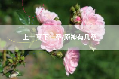 上一章下一章(原神有几章)