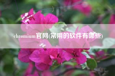 chromium官网(常用的软件有哪些)