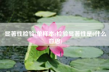 显著性检验(单样本t检验显著性是0什么意思)