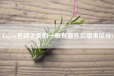 Logist(名词之类的一般有哪些后缀来区分)