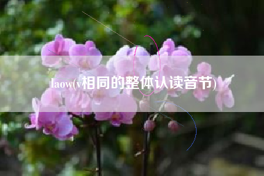 laow(v相同的整体认读音节)