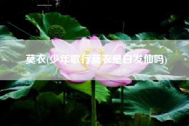 莫衣(少年歌行莫衣是白发仙吗)