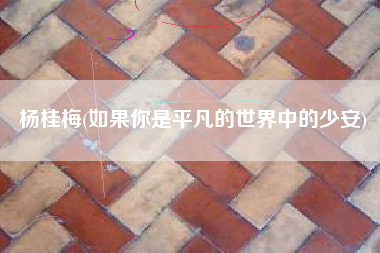 杨桂梅(如果你是平凡的世界中的少安)