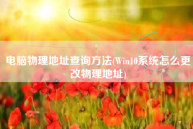 电脑物理地址查询方法(Win10系统怎么更改物理地址)