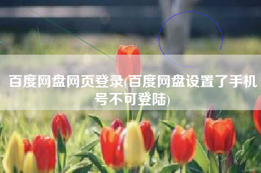 百度网盘网页登录(百度网盘设置了手机号不可登陆)