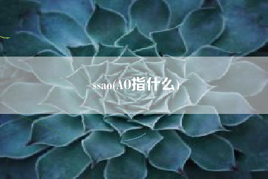 ssao(AO指什么)