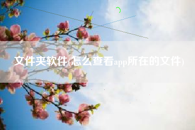 文件夹软件(怎么查看app所在的文件)