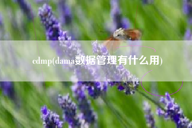 cdmp(dama数据管理有什么用)