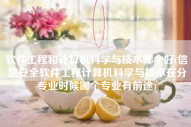 软件工程和计算机科学与技术哪个好(信息安全软件工程计算机科学与技术在分专业时候哪个专业有前途)