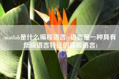 matlab是什么编程语言(c语言是一种具有低级语言特征的高级语言)
