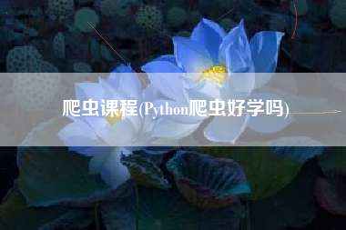 爬虫课程(Python爬虫好学吗)