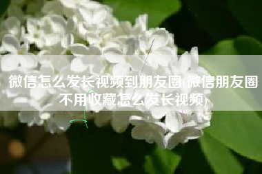 微信怎么发长视频到朋友圈(微信朋友圈不用收藏怎么发长视频)