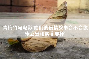 青梅竹马电影(他们的爱情故事会不会像朱立安和索菲那样)