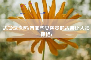 志玲鸳鸯照(有哪些女演员的古装让人很惊艳)