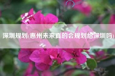 深圳规划(惠州未来真的会规划给深圳吗)