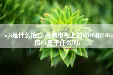 usb是什么接口(高清电视上的HDMI和USB接口是干什么的)