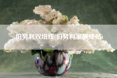 伯努利双纽线(伯努利家族成员)