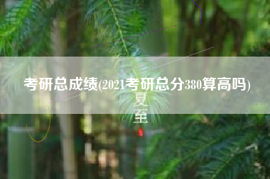 考研总成绩(2021考研总分380算高吗)