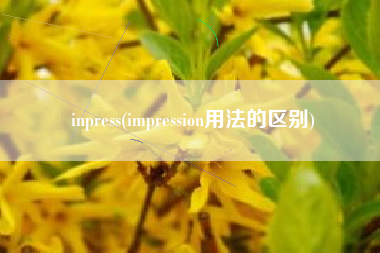 inpress(impression用法的区别)