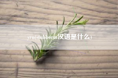 yrn(stubborm汉语是什么)