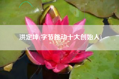 洪定坤(字节跳动十大创始人)