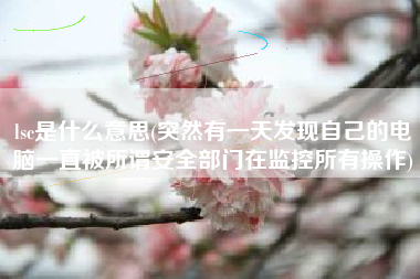 lsc是什么意思(突然有一天发现自己的电脑一直被所谓安全部门在监控所有操作)