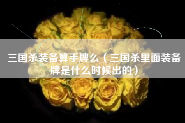 三国杀装备算手牌么（三国杀里面装备牌是什么时候出的）