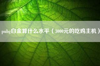 pubg白金算什么水平（3000元的吃鸡主机）