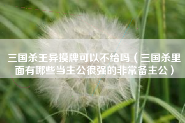 三国杀王异摸牌可以不给吗（三国杀里面有哪些当主公很强的非常备主公）