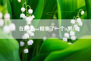 在路上po(相亲了一个it男)
