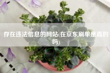 存在违法信息的网站(在京东刷单是真的吗)