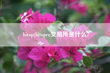 bitop(bitopro交易所是什么)