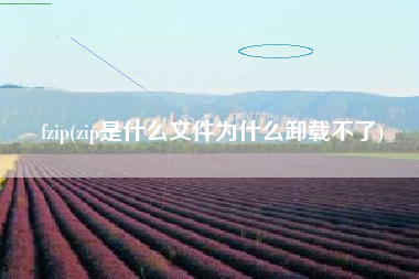 fzip(zip是什么文件为什么卸载不了)